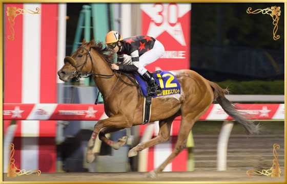 2016年優勝馬　コーリンベリー号