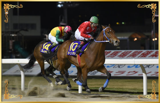 2016年優勝馬 ガーニーフラップ号