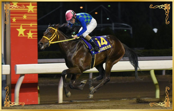 2016年優勝馬 タービランス号