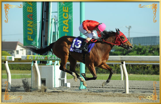 2016年優勝馬 ディーズプリモ号