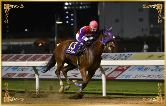 2016年優勝馬　タイニーダンサー号