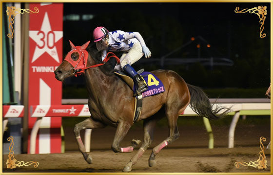 2016年優勝馬　リンダリンダ号