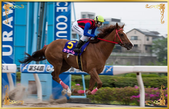 2016年優勝馬　 ララベル号