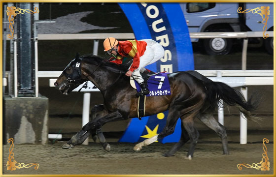 2016年優勝馬　ウルトラカイザー号