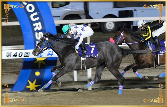 2016年優勝馬　スティールキング号