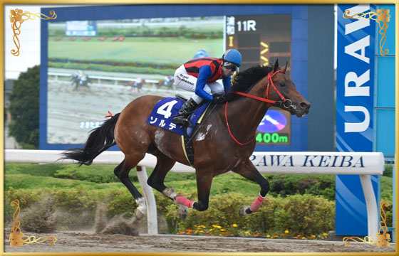 2016年優勝馬　ソルテ号