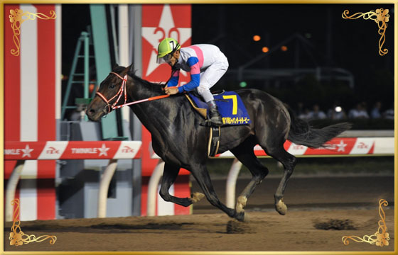 2016年優勝馬 キョウエイギア号