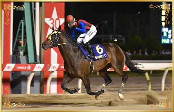 2016年優勝 バルダッサーレ号