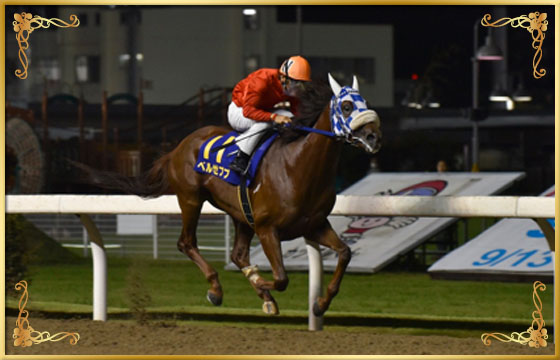 2016年優勝馬　ベルゼブブ号