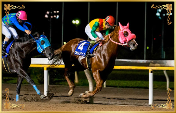 2016年優勝馬　フラットライナーズ号