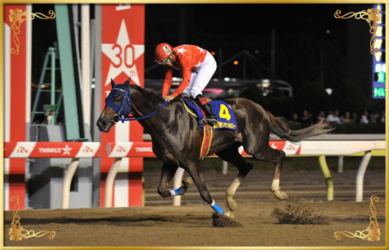 2016年優勝馬 リアライズリンクス号