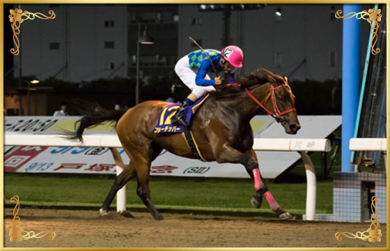 2016年優勝馬 ブルーチッパー号
