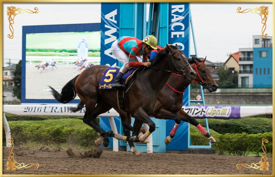 2016年優勝馬 レーザーバレット号(外)
