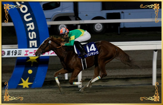 2016年優勝馬　リエノテソーロ号