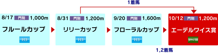 体系図 ~ホッカイドウ競馬2歳牝馬~