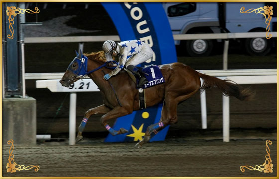 2016年優勝馬　オーブスプリング号