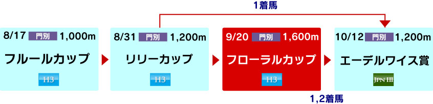 体系図　～ホッカイドウ競馬2歳牝馬～