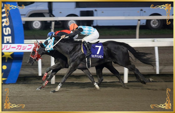 2016年優勝馬 ハタノオヌール号(内)