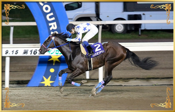 2016年優勝馬 バンドオンザラン号