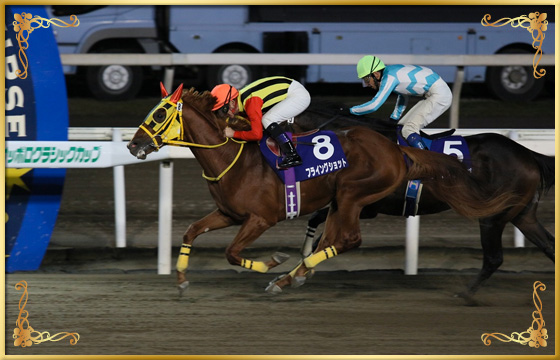 2016年優勝馬　フライングショット号