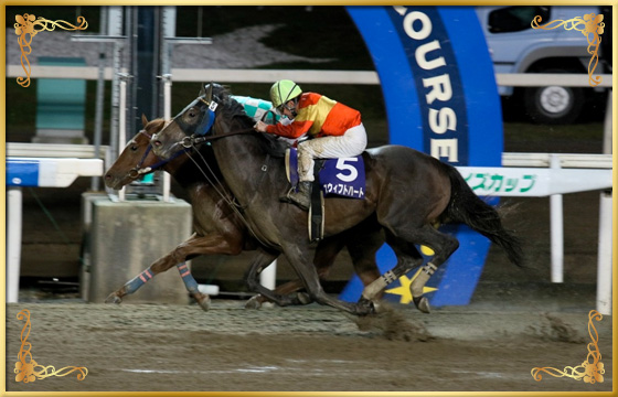 2016年優勝馬 ヒガシウィルウィン号(内)