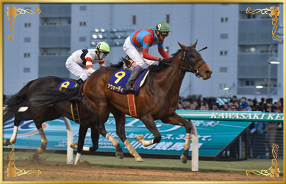 2016年優勝馬　アウォーディー号