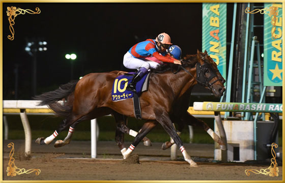 2016年優勝馬　アウォーディー号