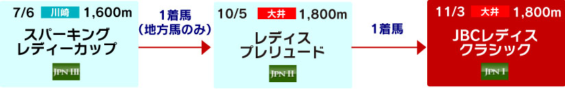 体系図　～Road to JBCレディスクラシック～