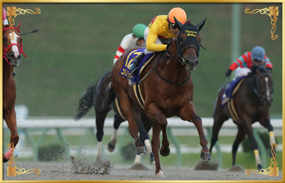 2016年優勝馬 コパノリッキー号