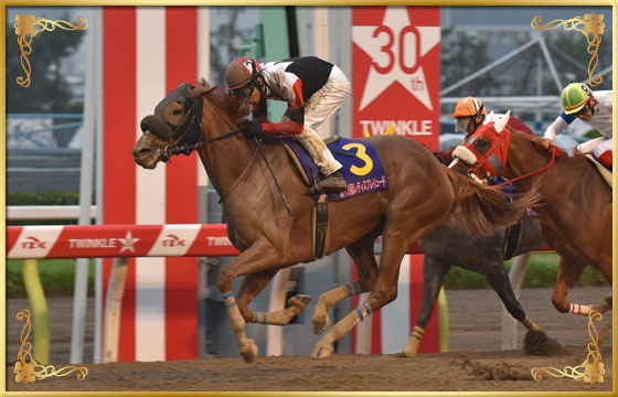 2016年優勝馬 タマノブリュネット号