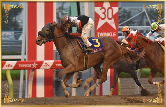 2016年優勝馬　タマノブリュネット号