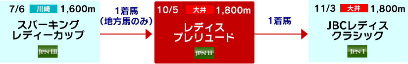 体系図　～Road to JBCレディスクラシック～