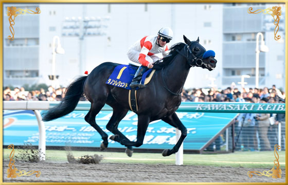 2016年優勝馬 ダノンレジェンド号