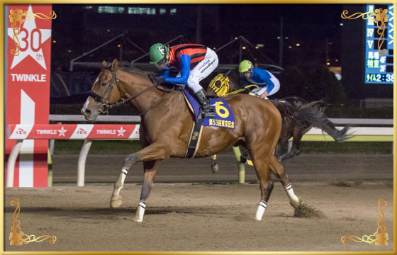 2016年優勝馬 ユーロビート号