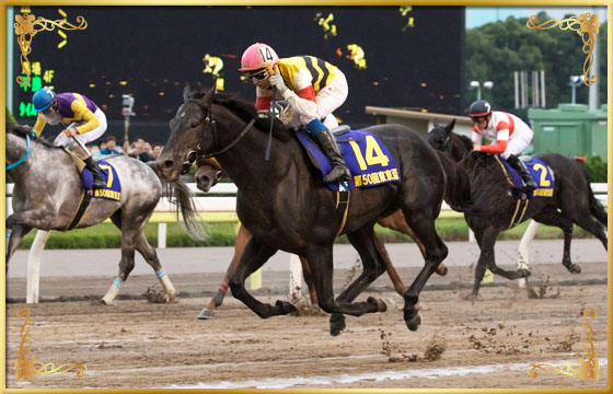 2016年優勝馬 ドリームバレンチノ号