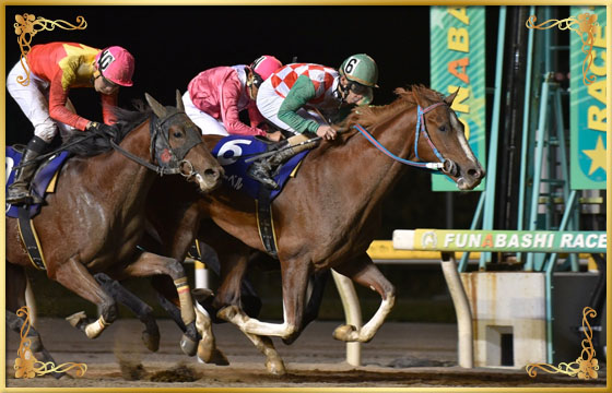 2016年優勝馬　スカイサーベル号