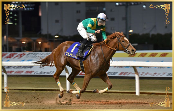 2016年優勝馬 リエノテソーロ号