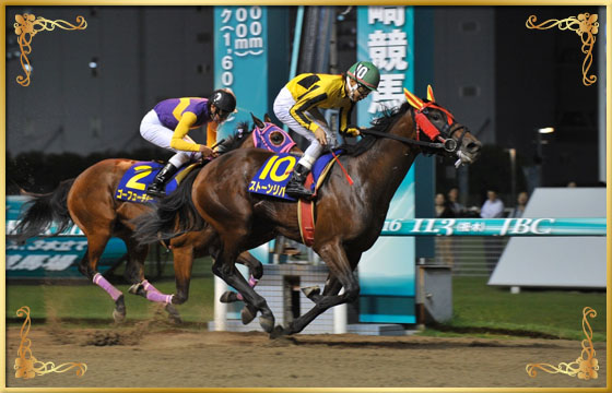 2016年優勝馬 ストーンリバー号