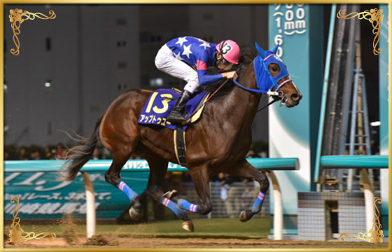 2016年優勝馬 アップトゥユー号