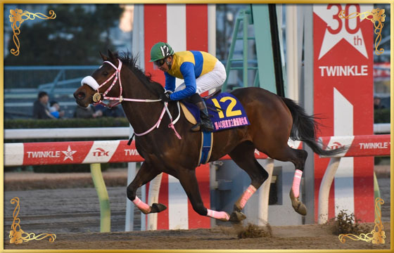 2016年優勝馬　ピンクドッグウッド号