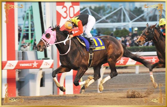 2016年優勝馬　アポロケンタッキー号