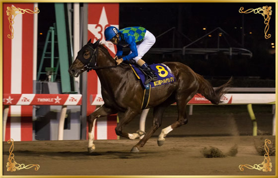 2016年優勝馬　セイスコーピオン号