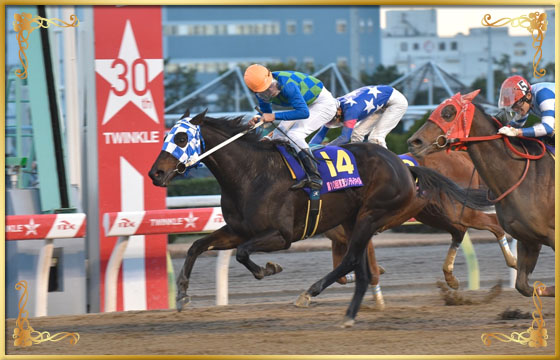 2016年優勝馬 トーセンセラヴィ号