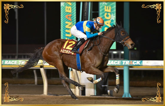 2016年優勝馬　トロワボヌール号