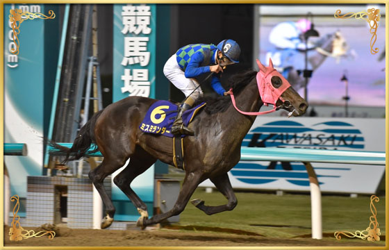 2016年優勝馬　ミスミランダー号