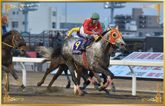 2017年優勝馬　ケイアイレオーネ号