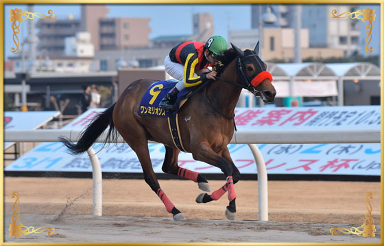 2017年優勝馬 ワンミリオンス 号