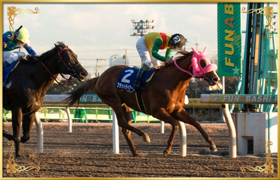 2017年優勝馬 フラットライナーズ号