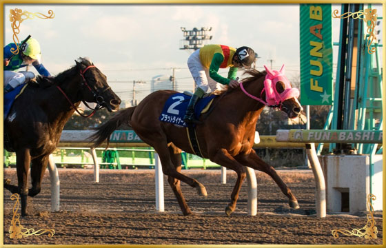 2017年優勝馬　フラットライナーズ号