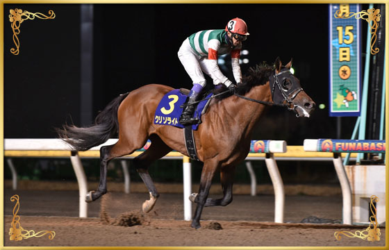 2017年優勝馬 クリソライト号